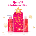 Merry 'Lil Christmas Box